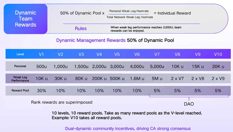 Dynamic Team Rewards